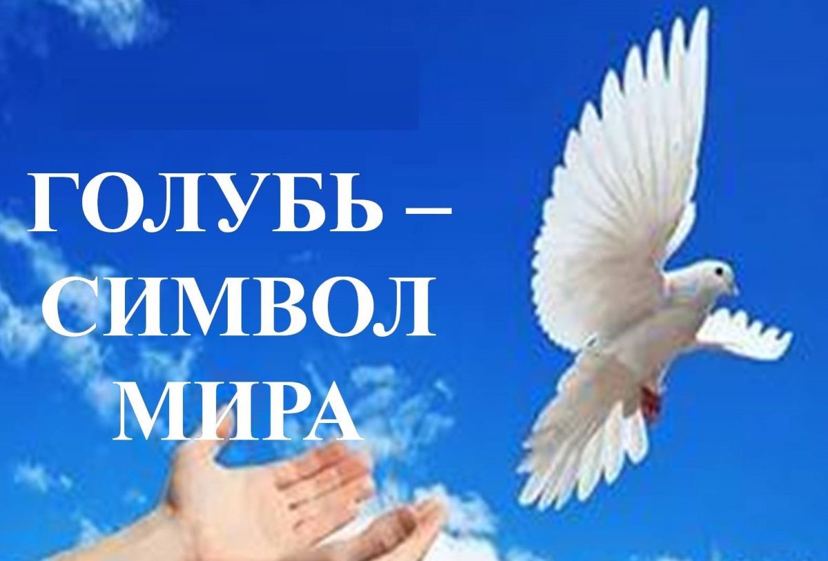 «Голубь Мира»: пропагандистская акция в поддержку СВО России в отделении дневного пребывания